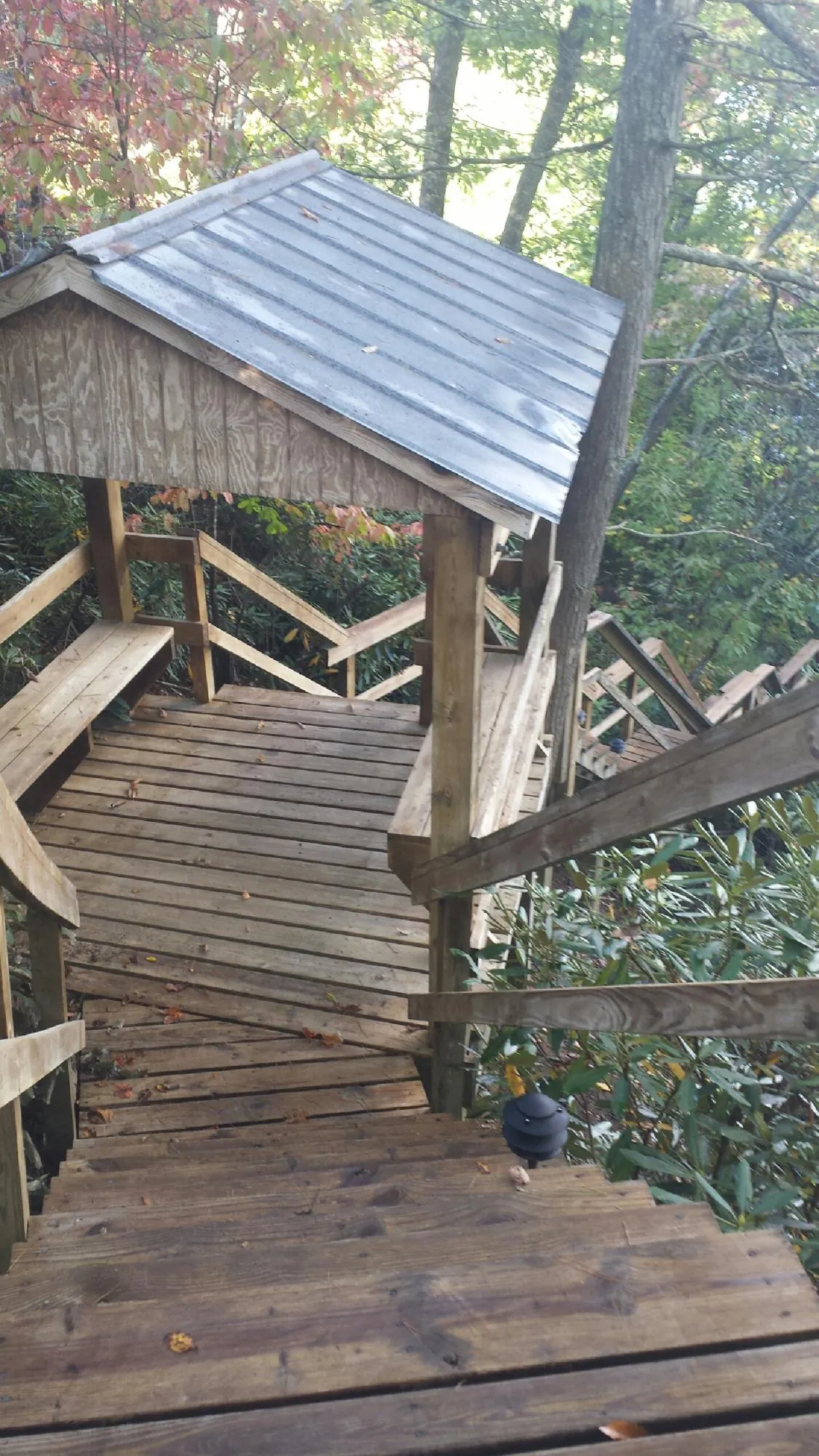Metal roofed shelter over wooden steps on a wooded walkway — Skylight Repair & Installation work by our crew in Mustang